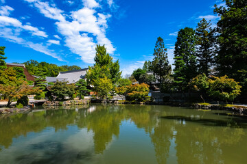 Fototapeta na wymiar 岐阜県多治見市 永保寺 紅葉が色づき始めた庭園