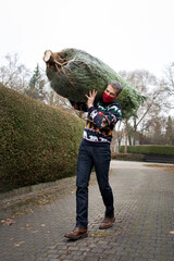 Man with face mask carrying a Christmas tree that he picked and cut himself