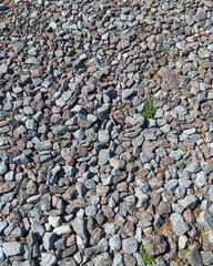 The coast of the Gulf of Finland.