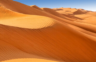 Fototapeta na wymiar Sand dunes in the Wahiba desert