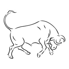 black and white linear paint draw bull vector illustration. bull vector sketch illustration