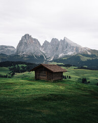 Fototapeta na wymiar alpe di siusi, seiser alm (Dolomites) italy