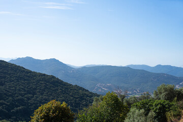 Corsican mountain desert countryside full of vegetation tree next to the sea