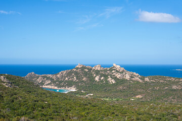 Fototapeta premium Corsican mountain desert countryside full of vegetation tree next to the sea