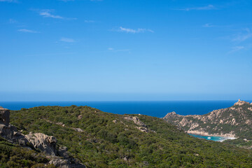 Fototapeta na wymiar Corsican mountain desert countryside full of vegetation tree next to the sea