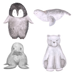 Watercolor baby penguin, seal, walrus, polar bear, and stars isolated on a white background. Hand-drawn front view of antarctic animals for your design. Cute illustration of arctic babies.