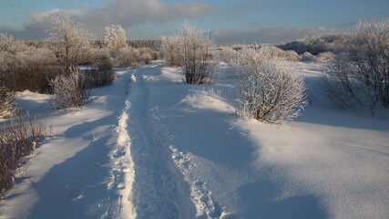 wintertime in Monschau National Park Eifel Germany Europe