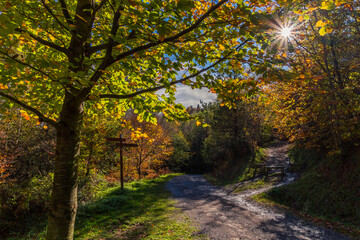 Scene of a backlighting in fall, in Natural Park of Urkiola