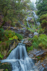 a scene of a waterfall of "Cadarnoxo" in a Galician forest of Boiro