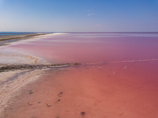 Aerial view to pink salt lake and the broken wood bridge. Sasyk-Sivash pink salt lake in Crimea.