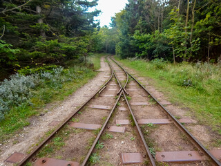 Fototapeta premium railway in the woods