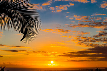 Naklejka na ściany i meble sunset on the beach