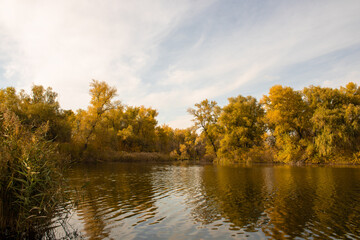 Autumn forest on the river.