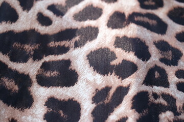Obraz premium leopard fur texture