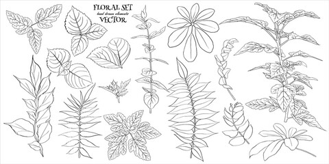 Vector illustration - Floral set leaves and branches . Hand made design elements in sketch style. Perfect for invitations, greeting cards, tattoos, prints.