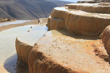 Badab Soort