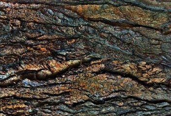 wood texture
