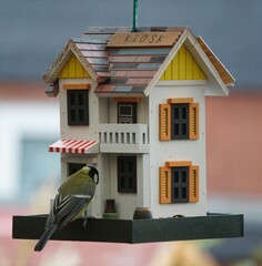 Vogelhäuser mit ihren Bewohnern