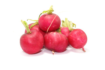 Red radishes or Easter eggs, organically grown, freshly harvested, ready to make salads or edible dishes on a white floor upright in my home studio.