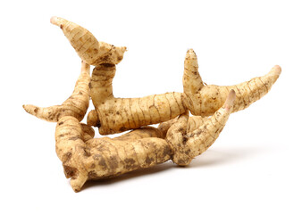 Polygonatum sibiricum on white background