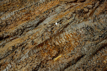 traces of cars in the mud