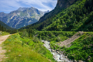 Fototapeta na wymiar Doron river in Vanoise national Park valley, French alps
