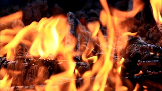 burning wood fire 
 
 
