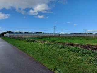 Fototapeta na wymiar Green meadows and fields with greenhouses in the Groene Zoom area