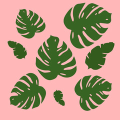 Set of exotic leaves
