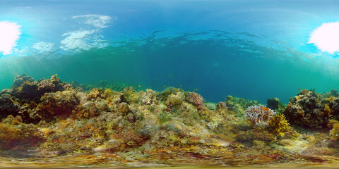 Fototapeta na wymiar Coral reef and tropical fishes. The underwater world of the Philippines. Philippines. 360 panorama VR