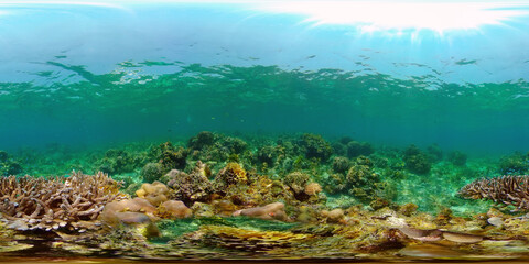 Fototapeta na wymiar Blue Sea Water and Tropical Fish. Tropical underwater sea fish. Philippines. Virtual Reality 360.