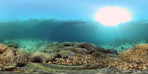 Beautiful underwater landscape with tropical fish and corals. Philippines. 360 panorama VR