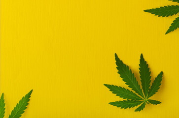 Marijuana leaves top view flat lay