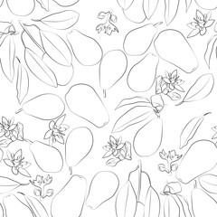 Seamless avocado. Line drawing. Lines have different widths. Black white