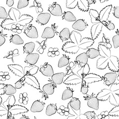 Seamless strawberry. Line drawing. Lines have different widths. Black white