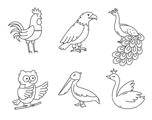Fototapeta na wymiar Set of doodle birds. Collection of cute outline characters.