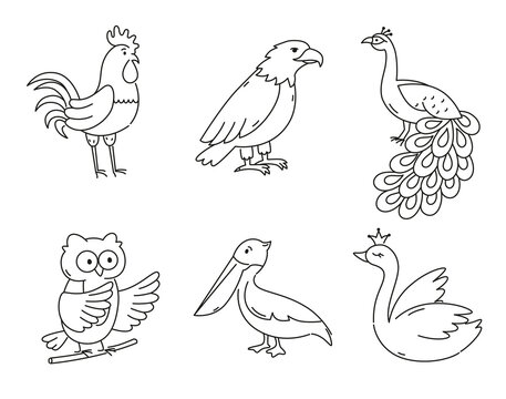 Set of doodle birds. Collection of cute outline characters.