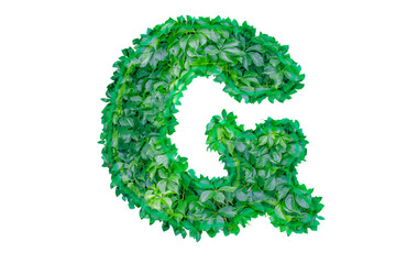 English letter G made from green shrub