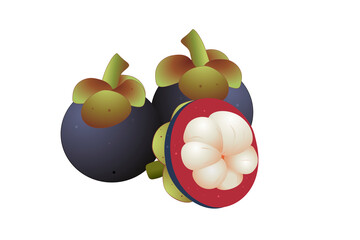 Mangosteen illustration isolated on a white background. Whole and halves as package design element.