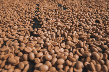Coffee beans in the fermentation and washing process, dry raw coffee beans.