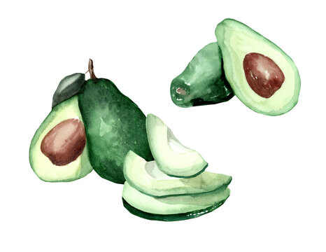 Watercolor drawing of an avocado on a white background