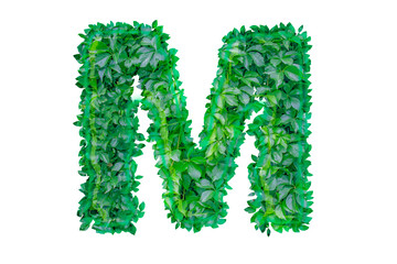 English letter M made from green shrub