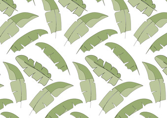Minimal style of banana leaves pattern background. green tone color with drawing line art illustration. Tropical palm leaves pattern blackground.  jungle leaf vector floral pattern for packaging.