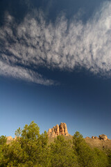 Pinar, pico de roca caliza y cielo con cirros o nubes altas. Cieza (Murcia).