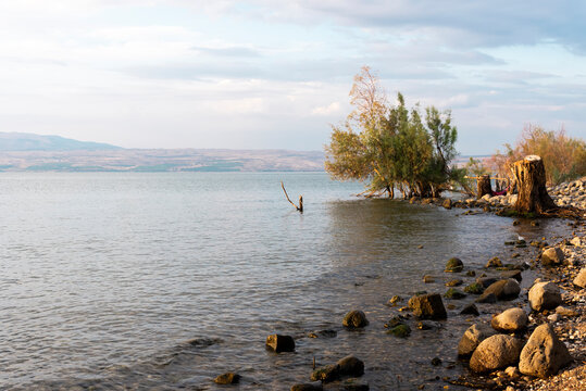 View of Sea of Galilee against the background of the Golan Heights in Israel. Camping on the shores of the Sea of Galilee. Red tent. Cloudy Blue Sky. High quality photo