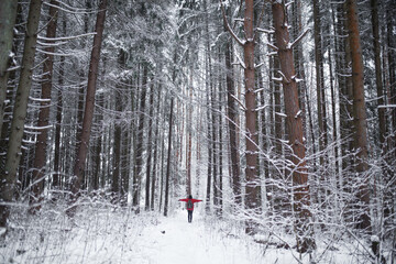 girl in the winter forest view from the back