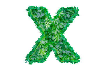 English letter X made from green shrub