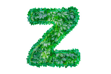 English letter Z made from green shrub
