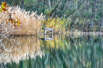 Ufer des Mittelsees mit Schilf und Steg in der Ville-Seenplatte