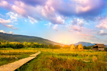 Fototapeta premium autumn sunrise in mountainous rural area. Bamboo Walkway and cottage in golden foliage on the meadow in weathered grass. blue sky